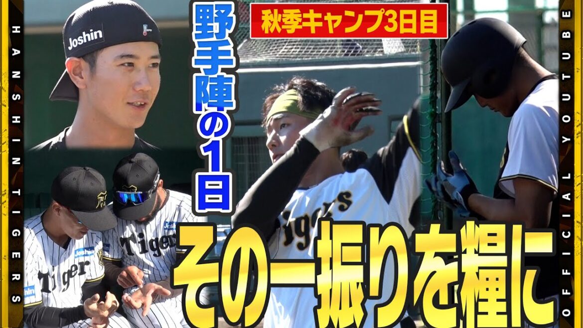 【秋季キャンプ】朝から#コンスエグラ 選手と#福島圭音 選手が『マメトーク。』今できることは来シーズンに向け一本でも振ること！実りの秋へ若虎たちの練習に迫る！