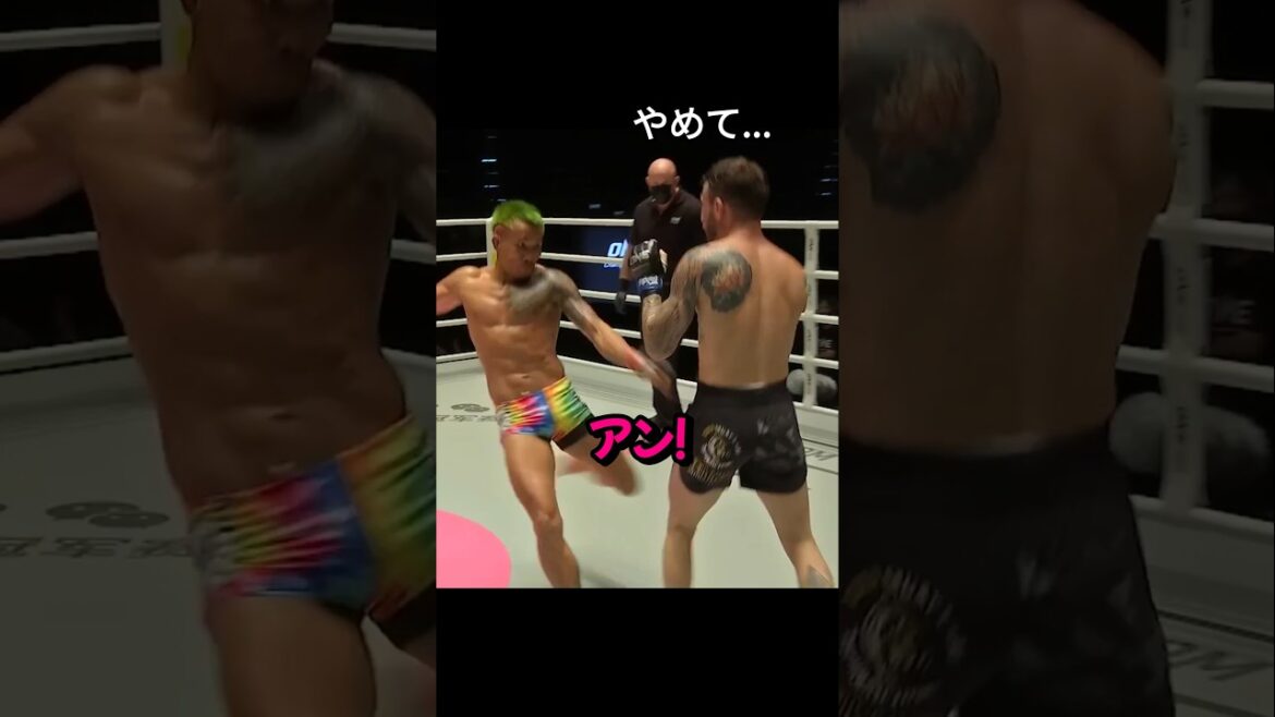 柔術選手に悪夢を見させたムエタイ選手