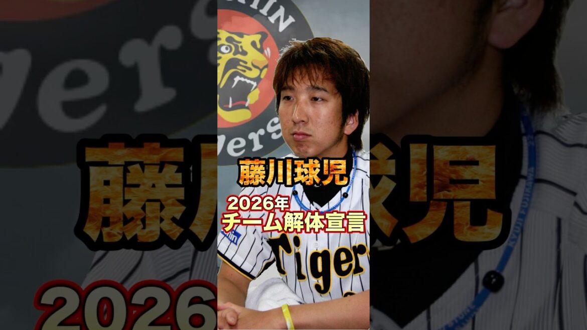 ▶︎  【藤川球児】阪神タイガース解体宣言