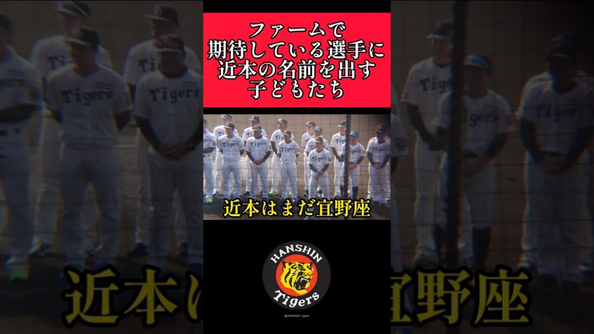 【阪神】ファームで期待する選手に１軍キャンプ中の近本の名前を出すちびっこ達！ #阪神 #阪神タイガース #平田勝男 #shorts