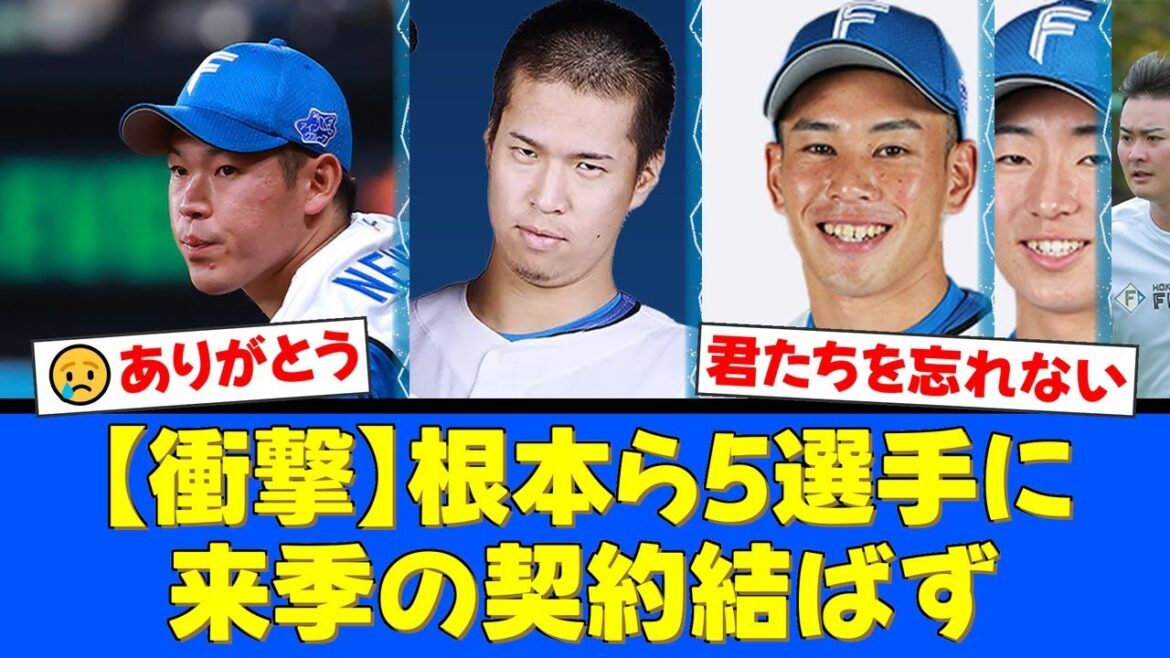 日本ハム、衝撃の戦力外通告。侍ジャパン選出の根本悠楓、苦労人・宮内春輝ら5選手がチームを去ることに。ファンからは驚きと感謝の声が殺到。【プロ野球ファンの反応】 日本ハム、衝撃の戦力外通告。侍ジャパン選出の根本悠楓、苦労人・宮内春輝ら5選手がチームを去ることに。ファンからは驚きと感謝の声が殺到。【プロ野球ファンの反応】