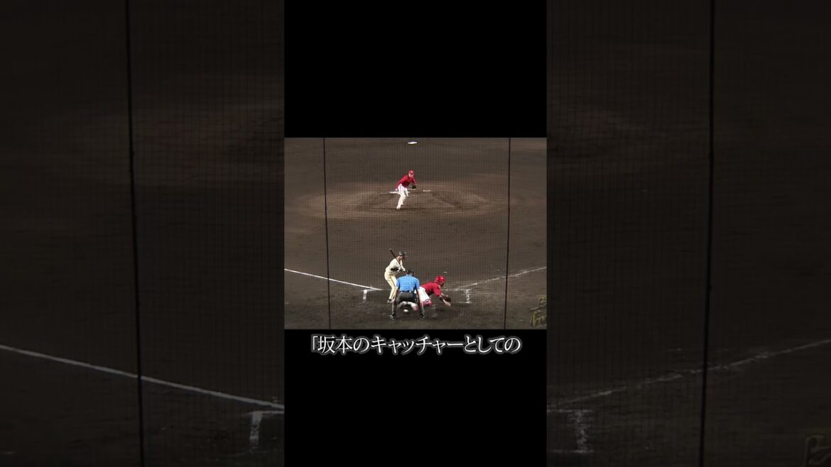 坂本誠志郎の奇行の推測が話題に #阪神タイガース