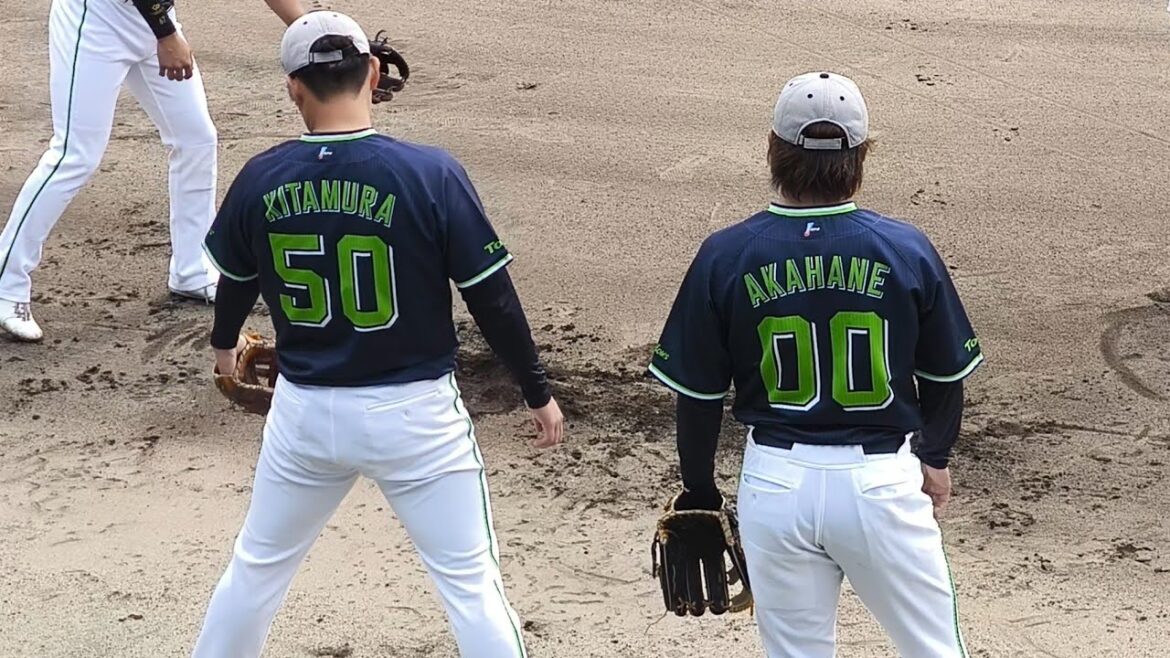 2025年東京ヤクルトスワローズ秋季キャンプ マドンナスタジアム 11/4松山中央公園②