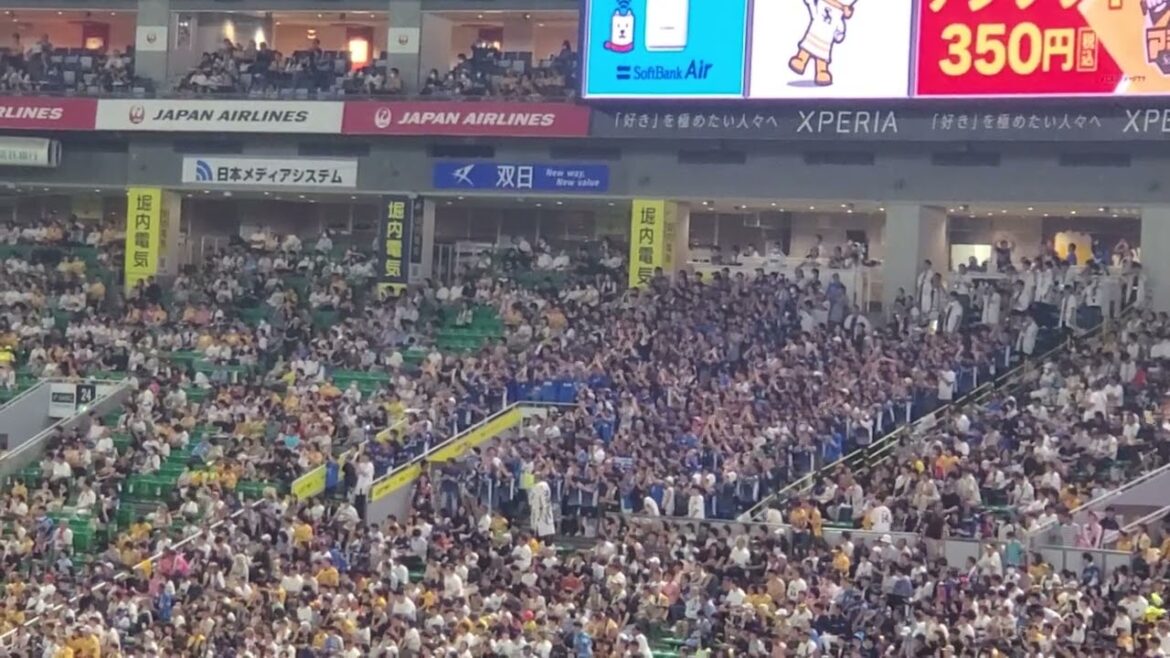 20240907　汎用ﾃｰﾏA！【山野辺翔 汎用応援歌】　5回表　埼玉西武ﾗｲｵﾝｽﾞ@みずほPayPayﾄﾞｰﾑ福岡･外野ﾗｲﾄ