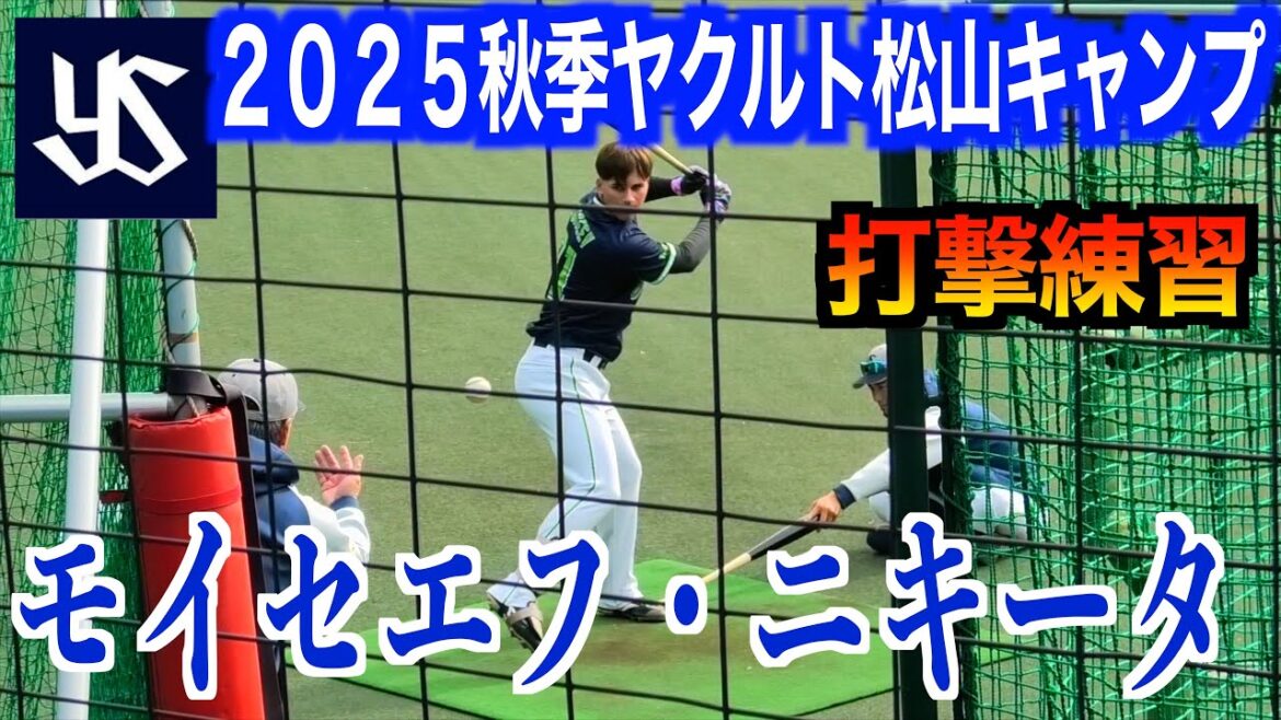 モイセエフ・ニキータ（東京ヤクルトスワローズ）打撃練習！【２０２５秋季東京ヤクルトスワローズ松山キャンプ】