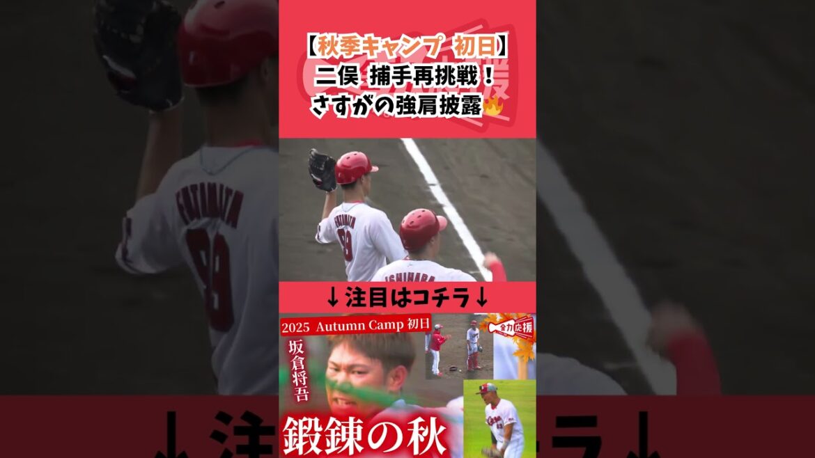 【二俣翔一】練習で強肩披露🔥捕手争いに割って入る！【球団認定】カープ全力応援チャンネル