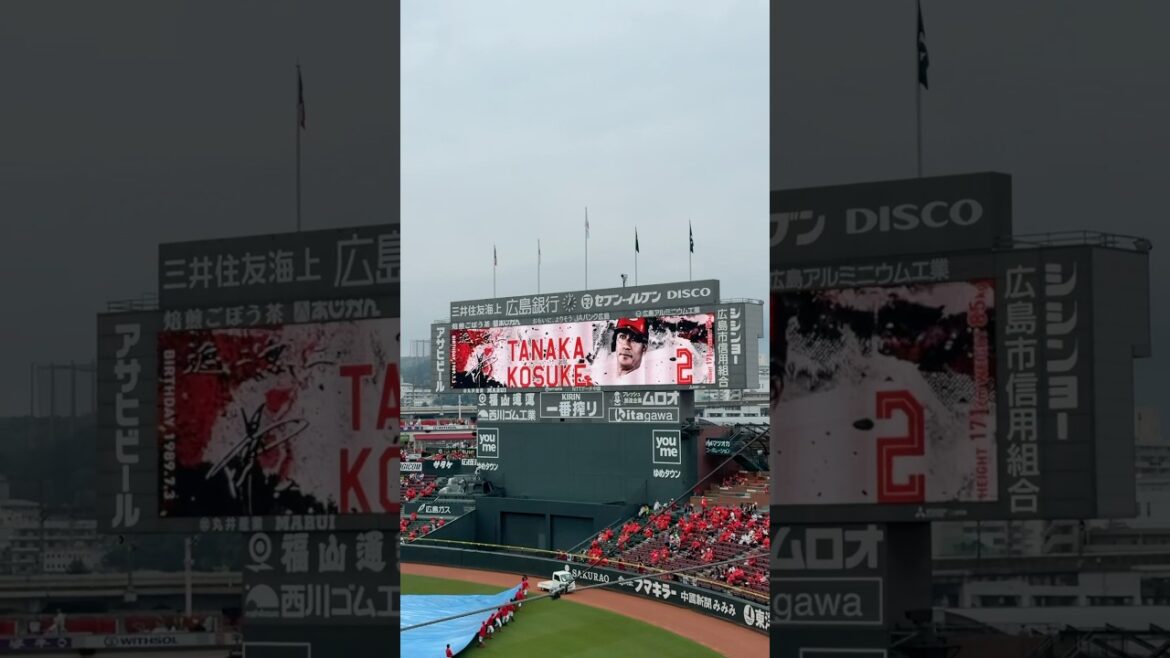 1番田中・2番菊池のタナキクコンビ #carp #shorts #田中広輔 #菊池涼介