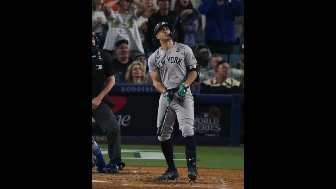 これは今まで見た中で最高のジャンカルロ・スタントン編集かもしれない😮‍💨 #ワールドシリーズ