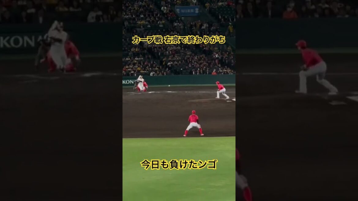 #阪神タイガース 5.8