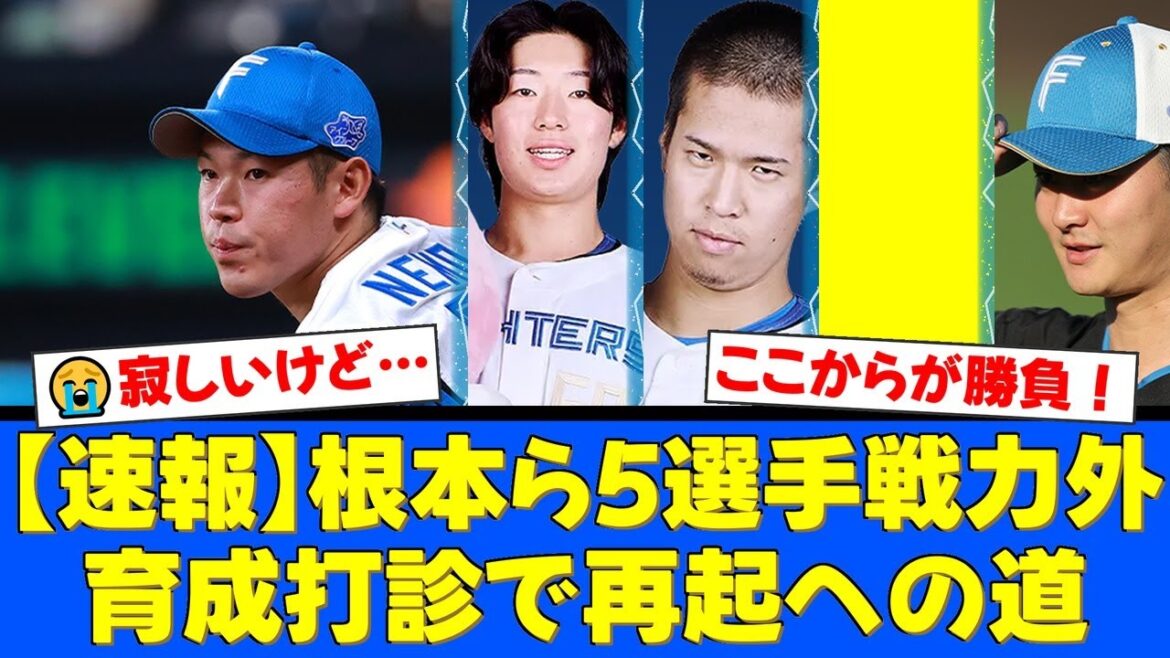 ファイターズ、根本悠楓ら5選手に戦力外通告。しかし球団は育成再契約を打診、復活への道筋を示す。ファンからは驚きと寂しさ、そして再起を願う温かい声が殺到。【プロ野球ファンの反応】