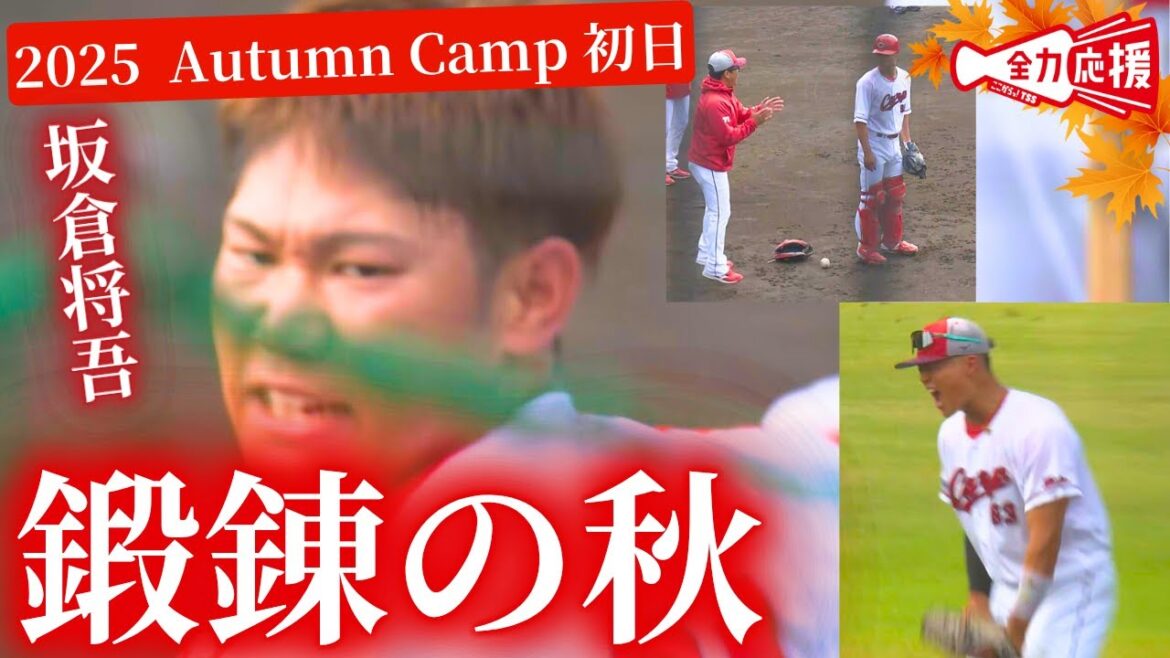 【秋季キャンプ 初日】実り・鍛錬の秋に！選手が猛練習！成長のきかっけを掴め🔥【球団認定】カープ全力応援チャンネル