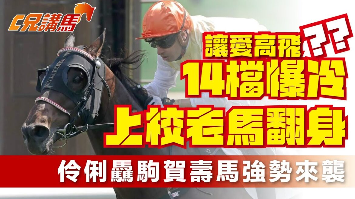 🔥【開鑼日心水】田草5班1200米激戰!伶俐驫駒賀壽馬強勢來襲|上校老馬翻身|讓愛高飛14檔爆冷? 🔥【開鑼日心水】田草5班1200米激戰!伶俐驫駒賀壽馬強勢來襲|上校老馬翻身|讓愛高飛14檔爆冷?