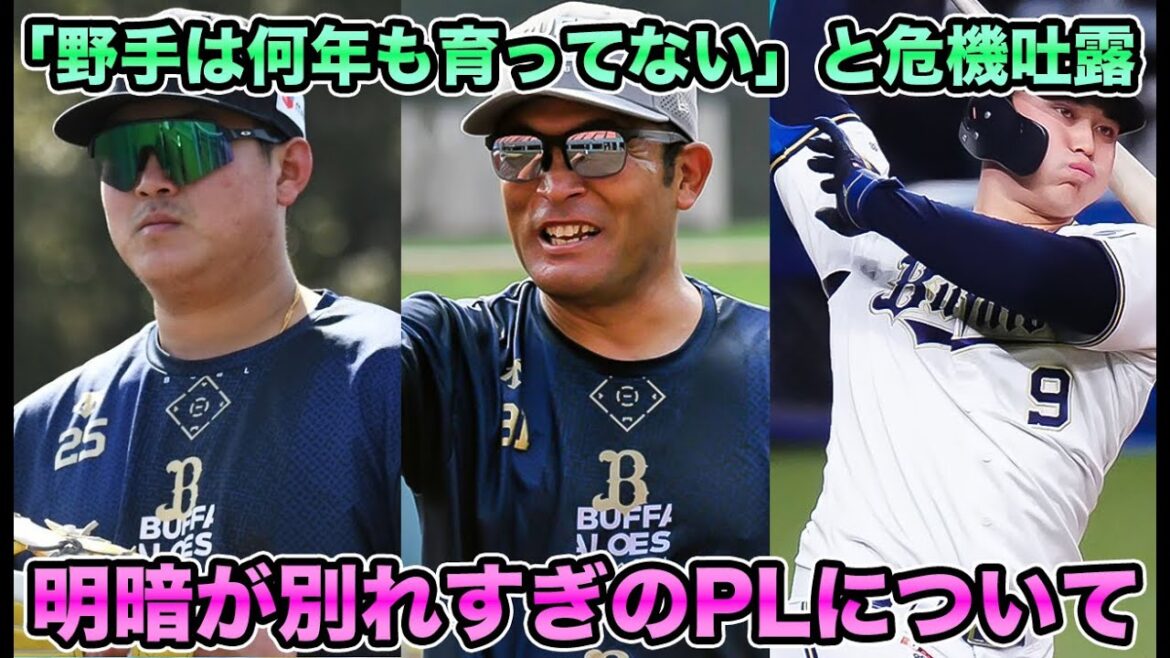 【光と影】内藤鵬が2発の大暴れでオリファン大興奮の裏で苦しむ野口智哉… フェニックスリーグ参戦の若牛の明暗が別れすぎている件について【オリックスバファローズ】