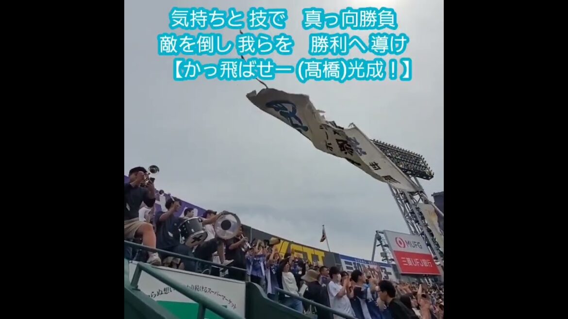 20240608　埼玉西武ライオンズの投手テーマ　#shorts　打者は髙橋光成　投手応援歌　投手汎用応援歌　投手汎用テーマ@阪神甲子園球場･ﾚﾌﾄ外野 日本生命ｾ･ﾊﾟ交流戦