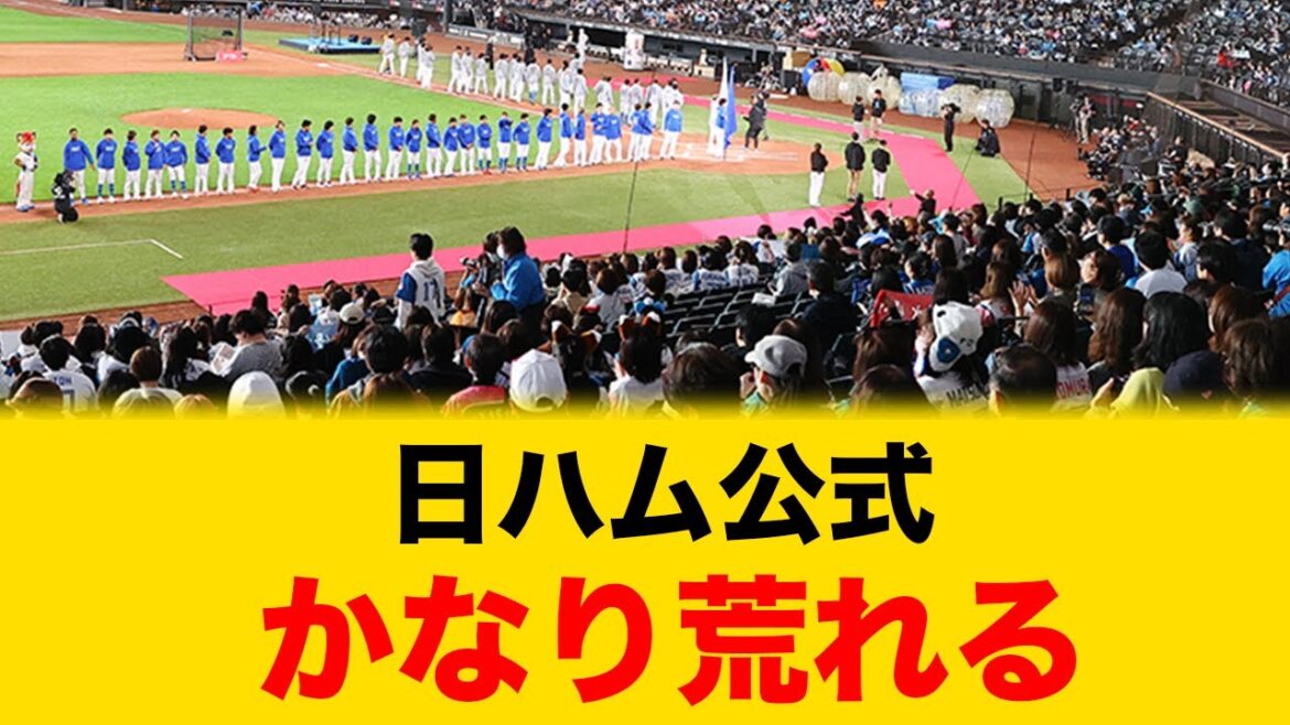 【賛否両論】日ハム公式さんかなり荒れるw【北海道日本ハムファイターズ】 【賛否両論】日ハム公式さんかなり荒れるw【北海道日本ハムファイターズ】