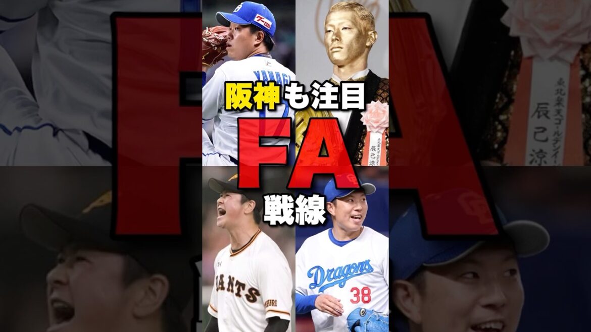 【阪神も注目】2025FA戦線 #プロ野球 #阪神タイガース#阪神