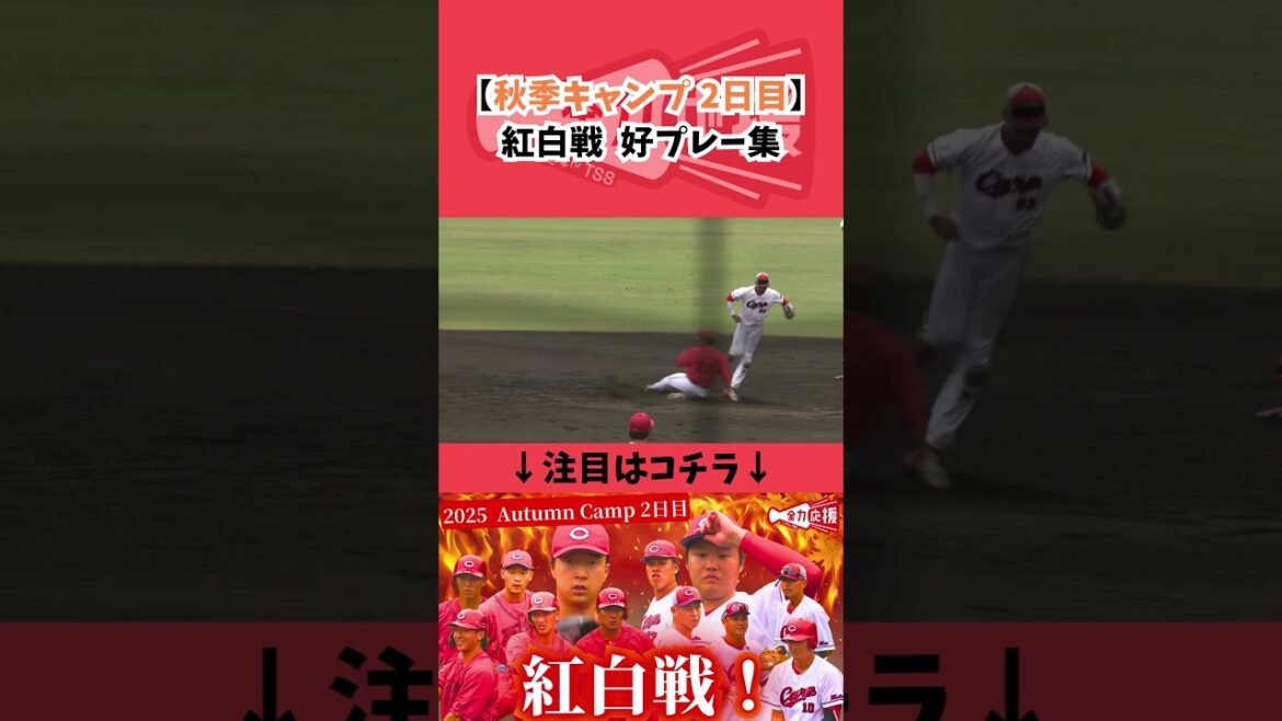【秋季キャンプ】紅白戦好プレー集🔥【球団認定】カープ全力応援チャンネル