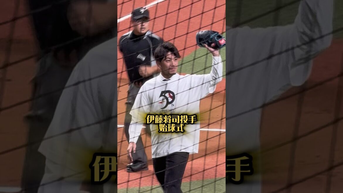 伊藤将司投手の始球式25/11/5 #阪神 #阪神タイガース #阪神ファン #伊藤将司 #社会人野球 #始球式 #社会人野球日本選手権 #jr東日本 #プロ野球 #横浜高校 #中野拓夢 #京セラ