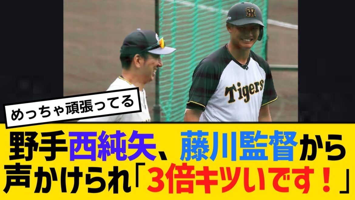 阪神・野手西純矢、藤川監督から声かけられ「3倍キツいです！」【野球】【反応】【考察】