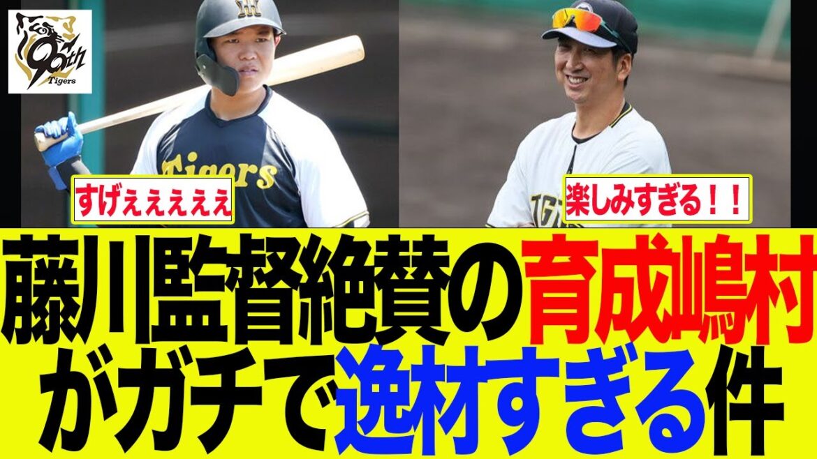 【阪神】藤川監督絶賛の育成嶋村がガチで逸材すぎる件　阪神ファンの反応集