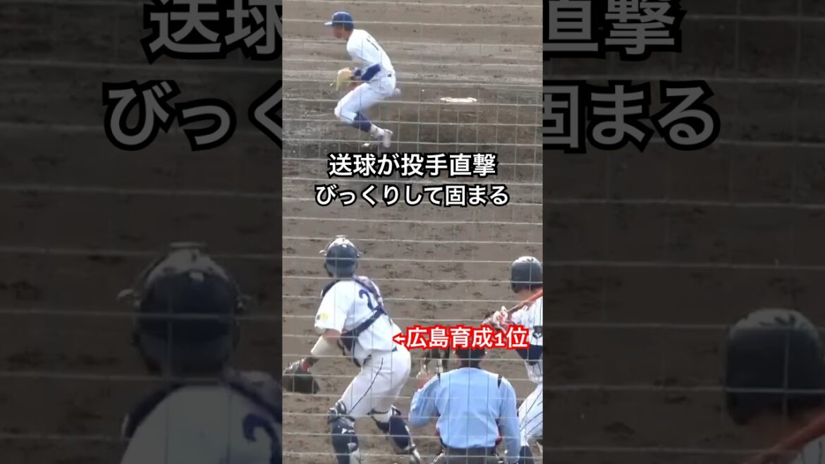 キャッチャーの送球が投手直撃💥 → びっくりして完全に固まる😳　広島育成1位　小林結太 捕手　東海大vs城西大 #大学野球 #プロ野球 #広島東洋カープ #キャッチャー