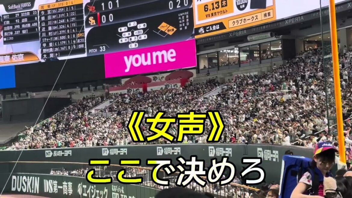 【福岡ソフトバンクホークス】チャンステーマ「鷹の爪」