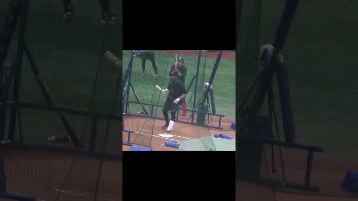 岸田行倫のフリーバッティングする姿（横浜DeNAベイスターズ 対 読売ジャイアンツ 2024年9月25日）　#打撃練習 #baseball