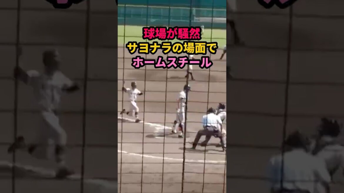 【衝撃】まさかのサヨナラホームスチールに観客が… #高校野球  #珍プレー