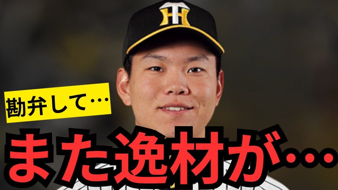 藤川監督が絶賛している育成嶋村がめっちゃ良い件について… 勘弁してくれや… 坂本梅野の次のキャッチャーやん… 支配下確実やし忖度なしで評価するわ!あとヘルナンデス&ネルソンについても俺の意見言うわ!! 藤川監督が絶賛している育成嶋村がめっちゃ良い件について… 勘弁してくれや… 坂本梅野の次のキャッチャーやん… 支配下確実やし忖度なしで評価するわ!あとヘルナンデス&ネルソンについても俺の意見言うわ!!