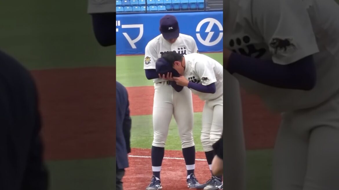 崩れ落ちたエースと支える仲間　東京六大学野球　優勝決定戦　早稲田大vs明治大　#早稲田大学 #明治大学 #早稲田 #大学野球 #東京六大学野球 #高校野球 #ハイライト