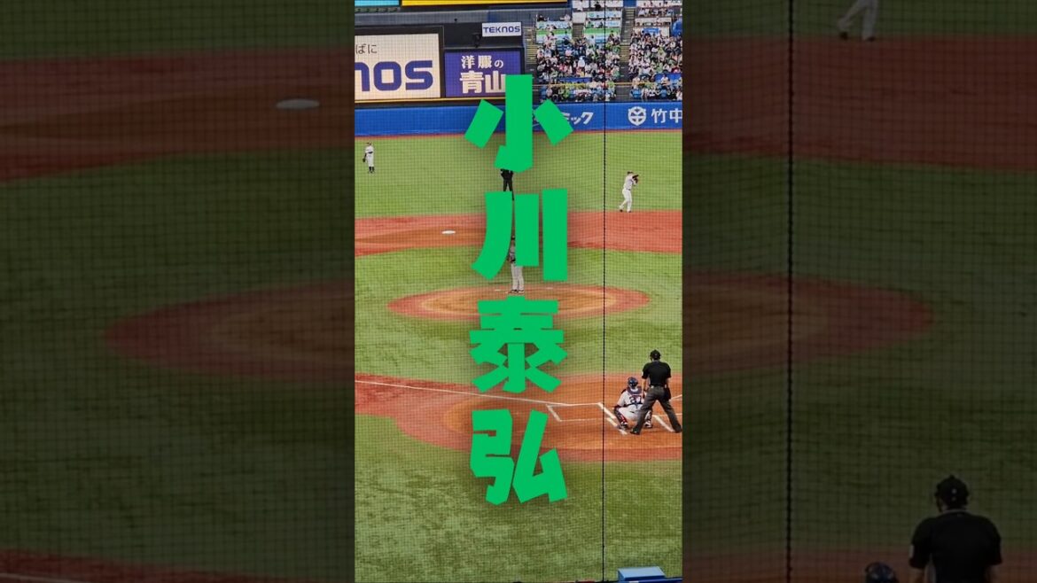 【プロ野球】ヤクルト 小川泰弘投手のピッチング⚾️ #shorts #野球 #プロ野球 #swallows #小川泰弘 #ピッチング #野球観戦 #野球好き #baseball
