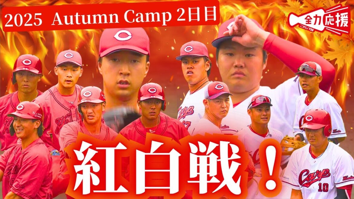 【白熱の紅白戦】序盤は若き左腕の投手戦🔥打者陣も要所で奮闘！【球団認定】カープ全力応援チャンネル