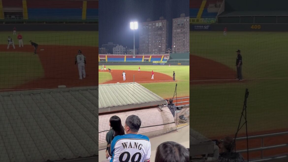 台鋼雄鷹熱血應援小女孩-吳念庭應援曲