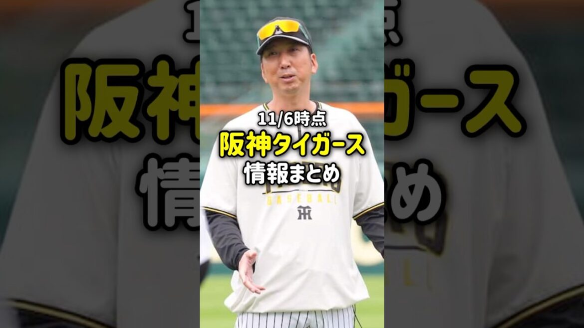 【速報】阪神タイガース情報まとめ🐯ついに補強の報道も✅#阪神タイガース #阪神 #プロ野球