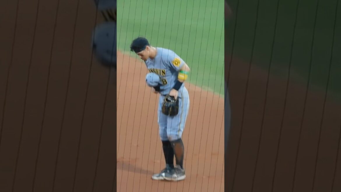 先制タイムリーを放ちファンの歓声に応える佐藤輝明 先制タイムリーを放ちファンの歓声に応える佐藤輝明