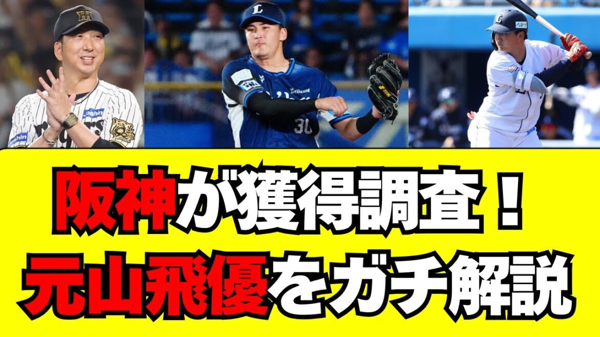 阪神タイガースが獲得調査！元山飛優をガチ解説