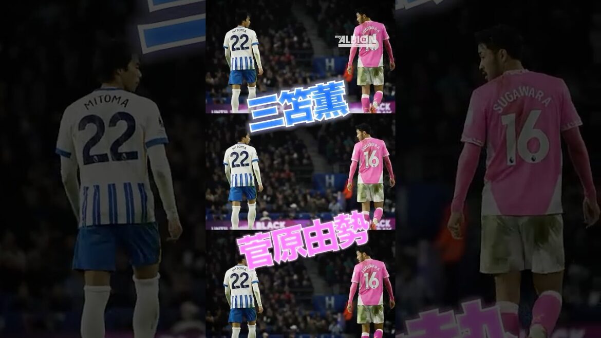 Kaoru Mitoma vs Yukinari Sugawara 🇯🇵 (三笘薫 vs 菅原由勢)  #brightonandhovealbion #mitoma