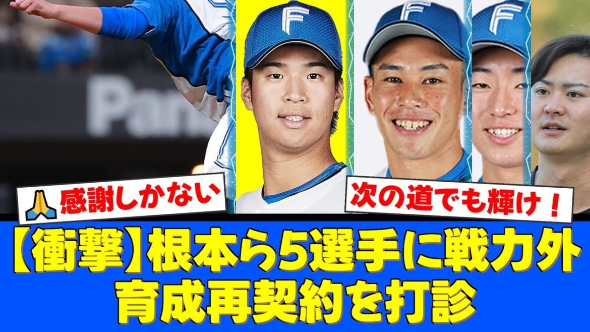 【衝撃】侍ジャパン選出の根本悠楓投手も…ファイターズが5選手に戦力外通告。しかし育成再契約の打診もあり、ファンからは感謝と激励の声が殺到。【プロ野球ファンの反応】