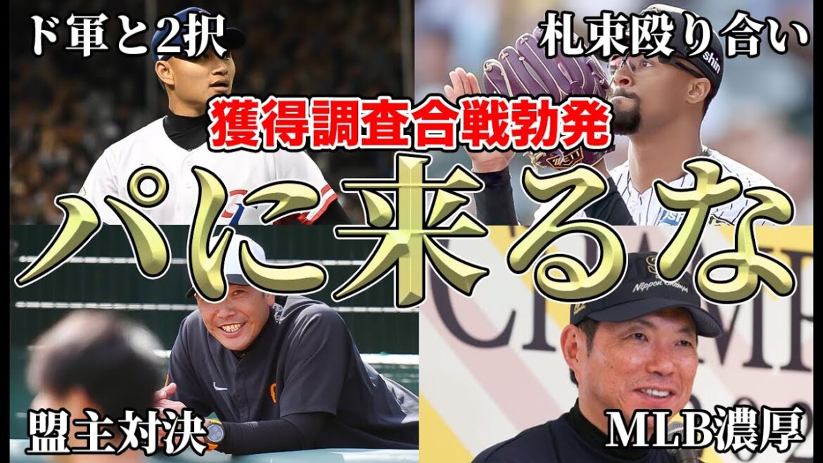 【獲得調査合戦開幕】シュー・ルオシーやデュプランティエなど争奪戦最新状況について!! マジでパに来ないでください。【オリックスバファローズ】