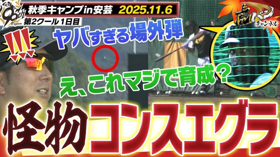 【11月6日秋季キャンプ】全野球ファン必見！怪物コンスエグラの場外弾！！球場を精力的に動き回る藤川監督を見逃すな！！！阪神タイガース密着！応援番組「虎バン」ABCテレビ公式チャンネル
