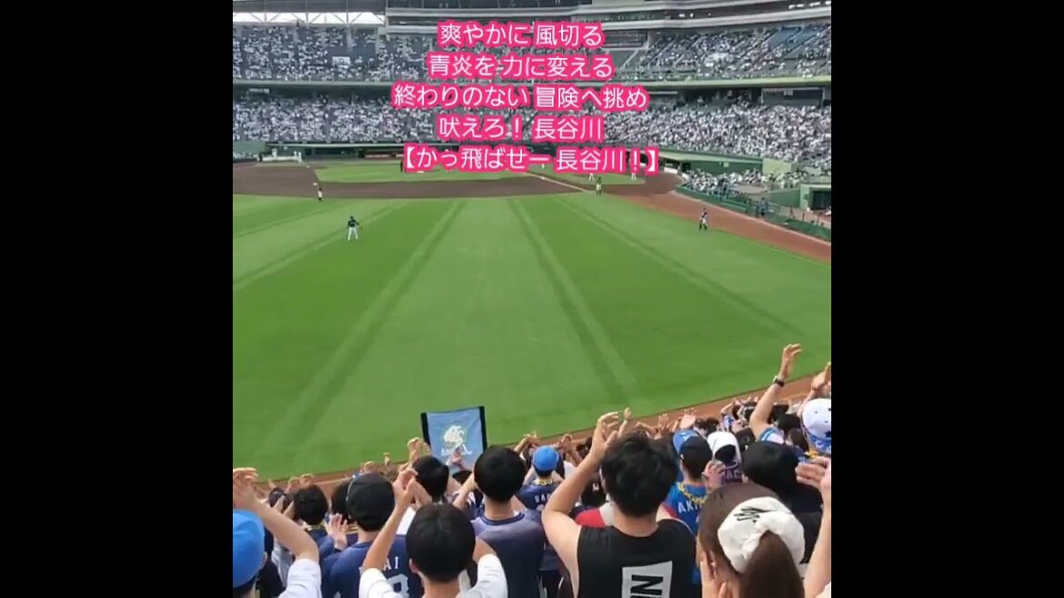 20250601　試合前から流れる！【長谷川信哉 応援歌】#shorts　埼玉西武ﾗｲｵﾝｽﾞ@ほっともっとﾌｨｰﾙﾄﾞ神戸･ﾚﾌﾄ外野