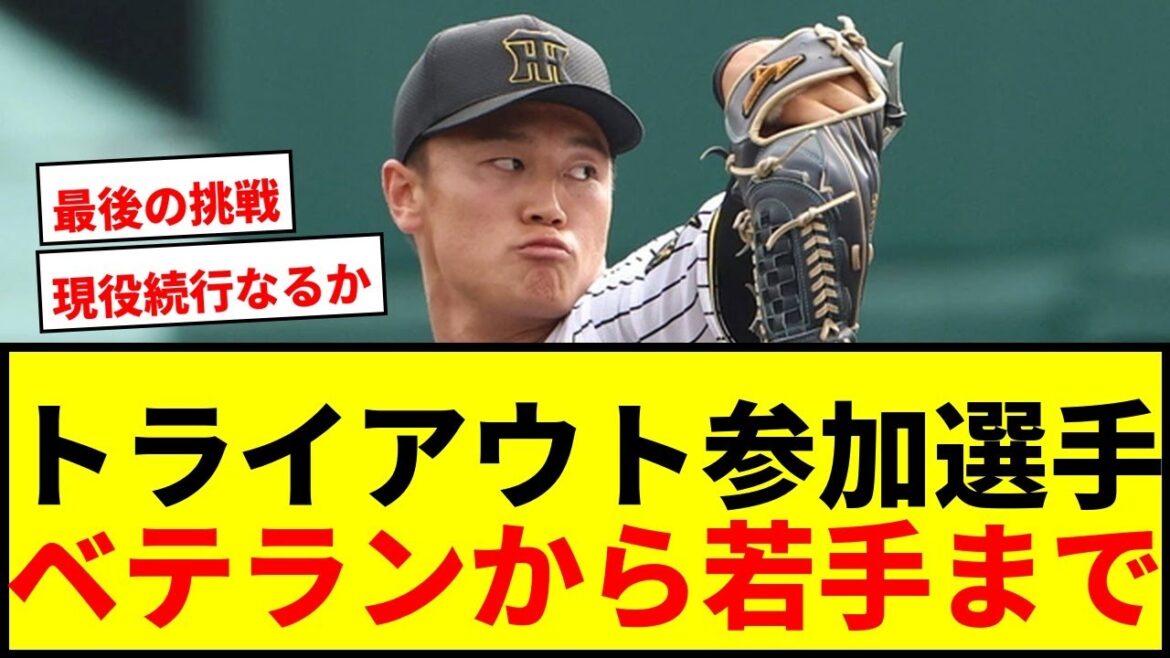【速報】プロ野球トライアウト2025参加選手発表!松山竜平、森木大智、又吉克樹ら38人の去就は? 【速報】プロ野球トライアウト2025参加選手発表!松山竜平、森木大智、又吉克樹ら38人の去就は?