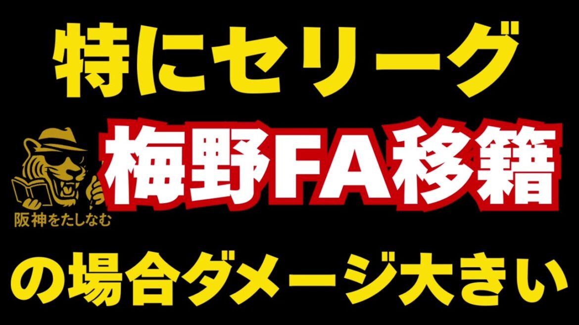 梅野FA流出した場合地味にダメージは大きい‼️残留して欲しい‼️#梅野隆太郎#阪神タイガース#阪神 考察#阪神 ニュース #試合考察 #藤川監督 #阪神タイガースをたしなむ 梅野FA流出した場合地味にダメージは大きい‼️残留して欲しい‼️#梅野隆太郎#阪神タイガース#阪神 考察#阪神 ニュース #試合考察 #藤川監督 #阪神タイガースをたしなむ