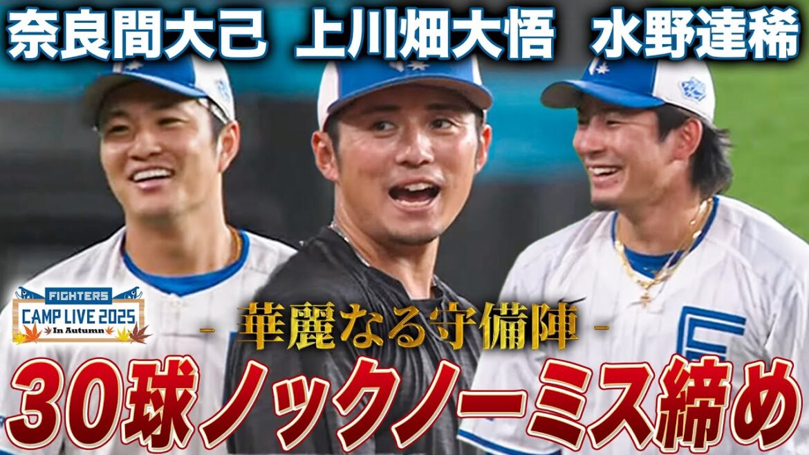 【30球ノーエラー完遂】守備の名手3人がきっちり練習を締める素晴らしい内野ノック<11/6ファイターズ秋季キャンプ2025> 【30球ノーエラー完遂】守備の名手3人がきっちり練習を締める素晴らしい内野ノック<11/6ファイターズ秋季キャンプ2025>