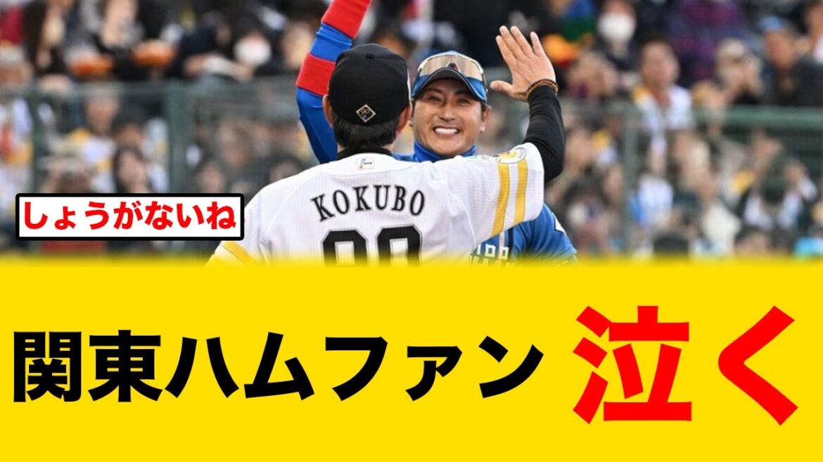 【マジっすか】関東のハムファン咽び泣く【北海道日本ハムファイターズ】 【マジっすか】関東のハムファン咽び泣く【北海道日本ハムファイターズ】