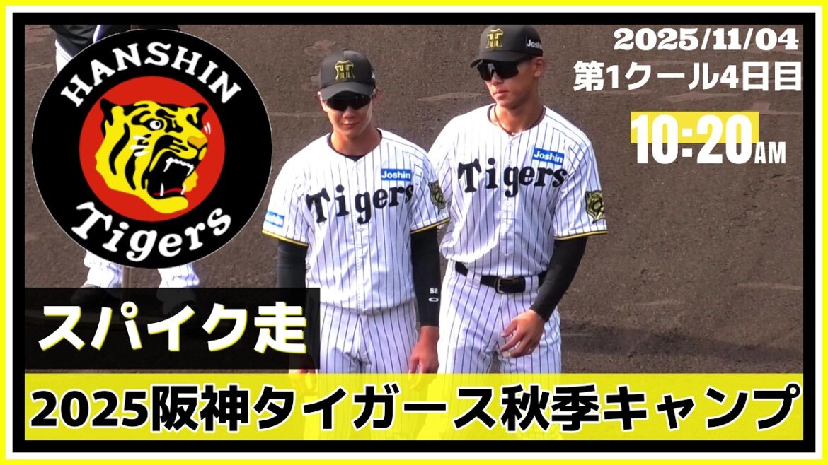【2025阪神タイガース秋季キャンプ(第1クール4日目)/スパイク走≫ウォーミングアップ後の野手陣スパイク走の様子】2025/11/04阪神タイガース