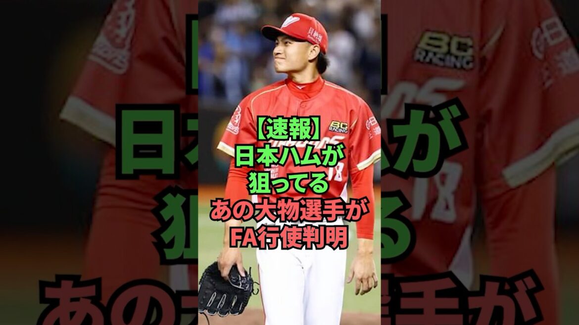【速報】日本ハムが狙ってるあの大物選手がFA行使判明