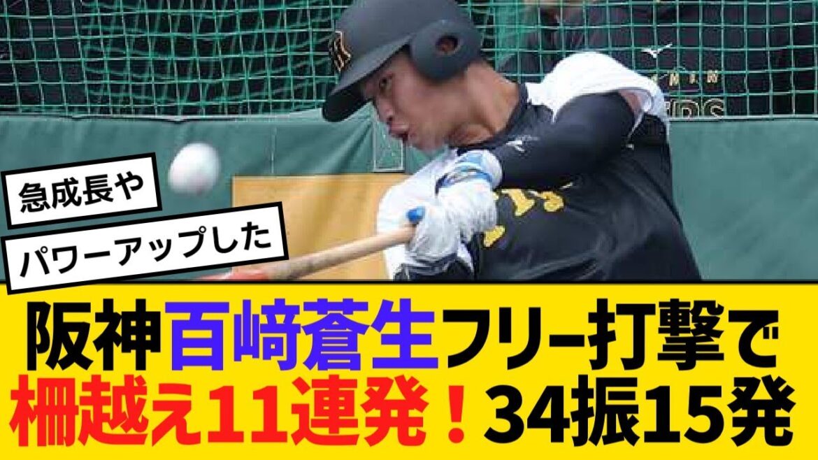 阪神・百﨑蒼生、フリー打撃で柵越え11連発!34振15発【野球】【反応】【考察】 阪神・百﨑蒼生、フリー打撃で柵越え11連発!34振15発【野球】【反応】【考察】