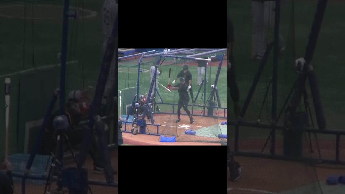 オコエ瑠偉のフリーバッティングする姿（横浜DeNAベイスターズ 対 読売ジャイアンツ 2024年9月25日）　#オコエ瑠偉　#打撃練習　#巨人