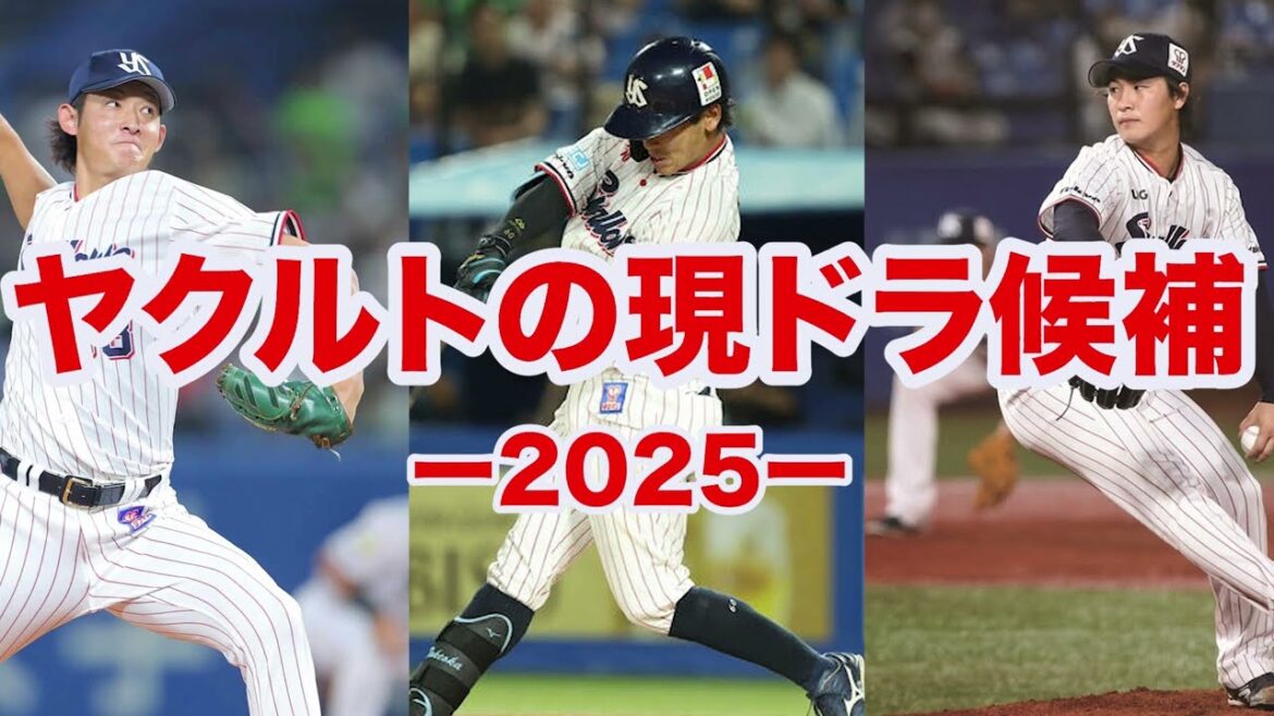 【現役ドラフト2025】ヤクルトは内野手濃厚⁉️内山のコンバートで武岡の放出が濃厚すぎる